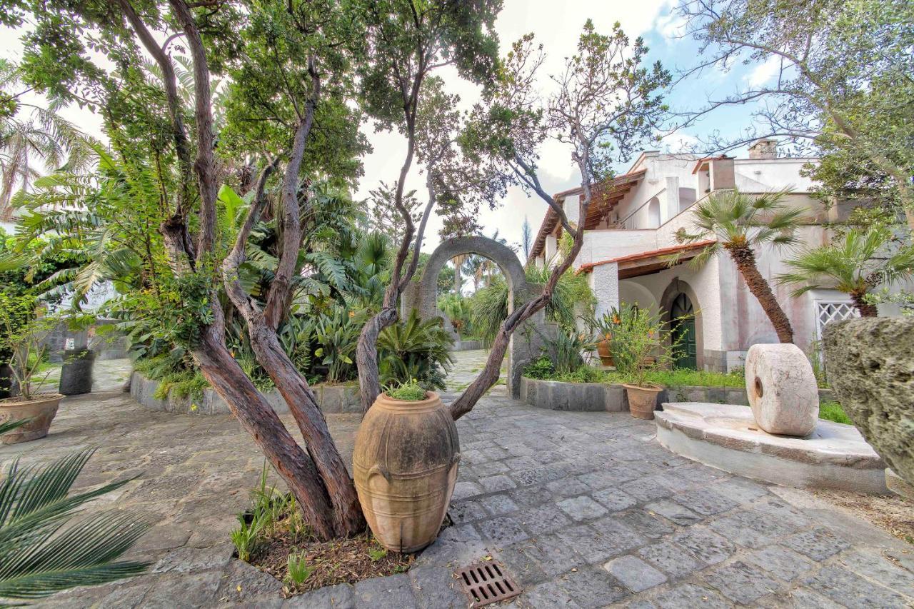 B&B Villa Regine Forio di Ischia 外观 照片